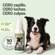 Spray Dental BauPaw™ – Elimina las bacterias causantes del sarro y el mal aliento en perros