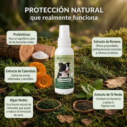 Spray Dental BauPaw™ – Elimina las bacterias causantes del sarro y el mal aliento en perros