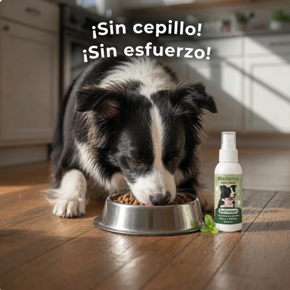 Spray Dental BauPaw™ – Elimina las bacterias causantes del sarro y el mal aliento en perros