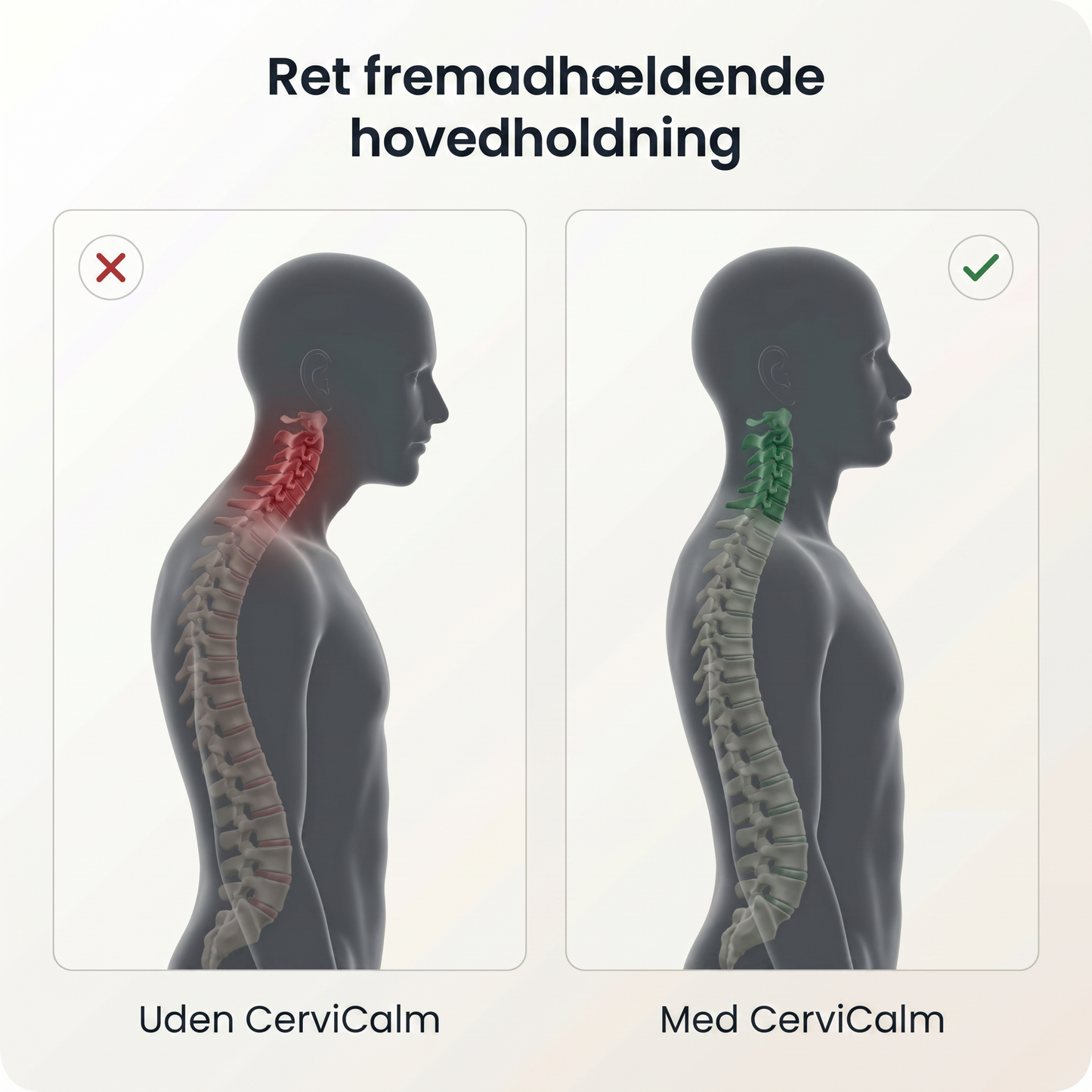 CerviCalm® | Nakkemassager